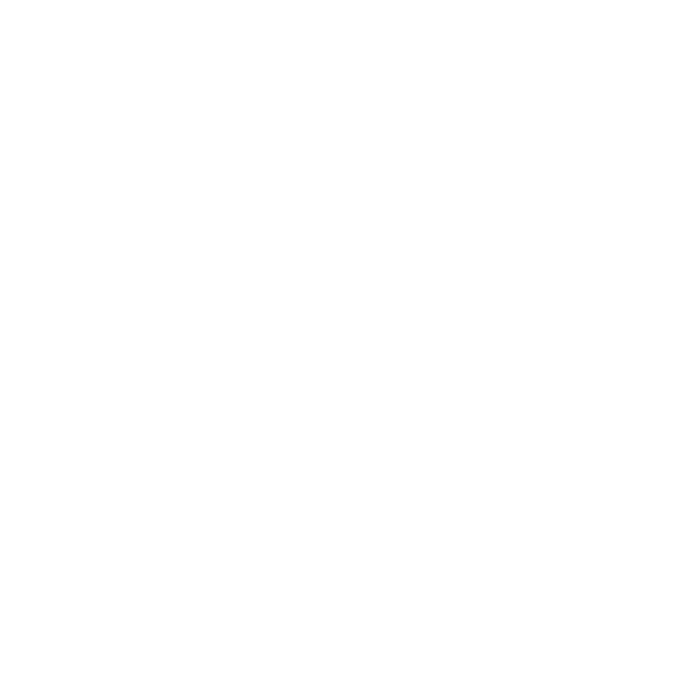Vidu