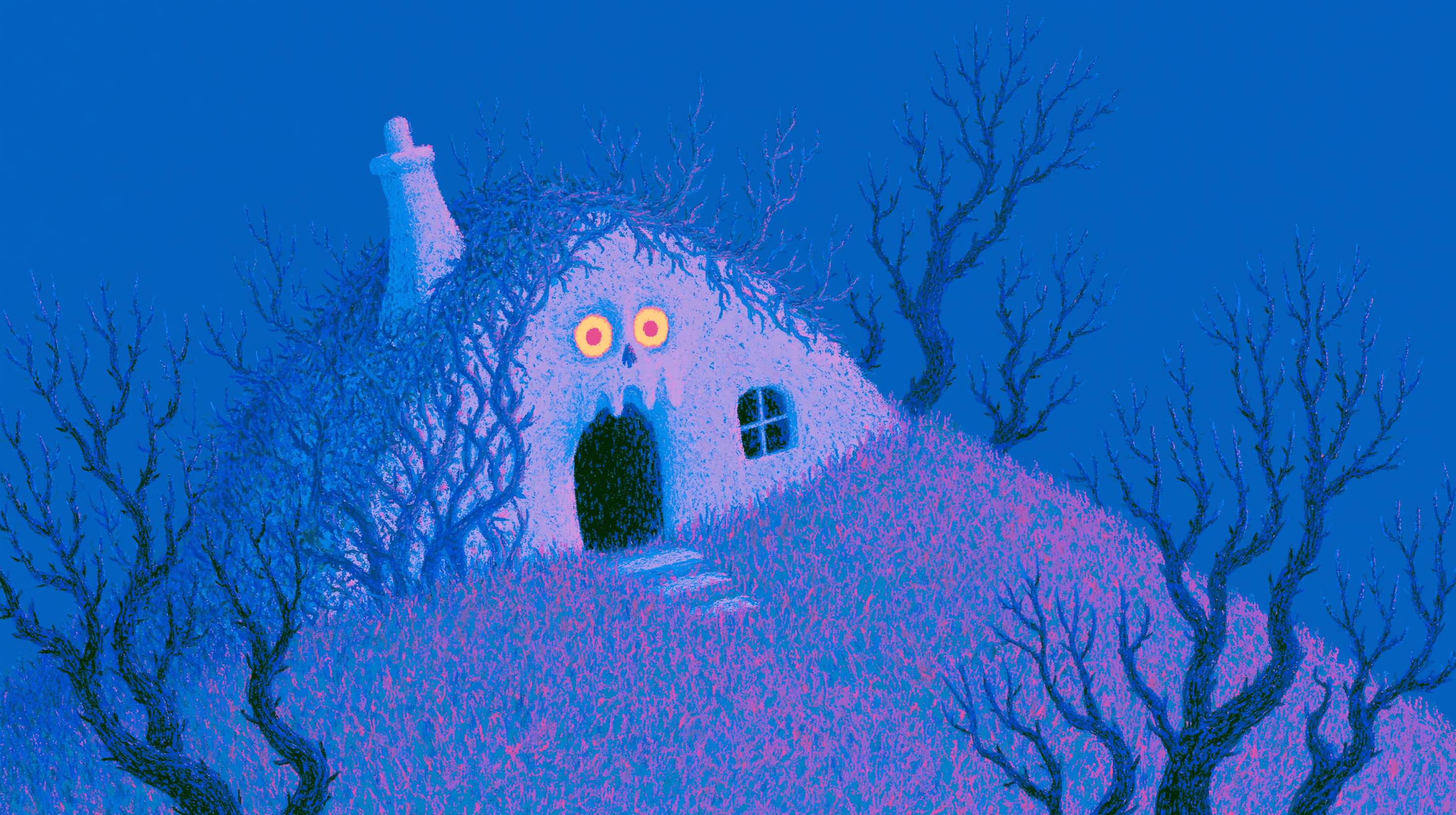 The House